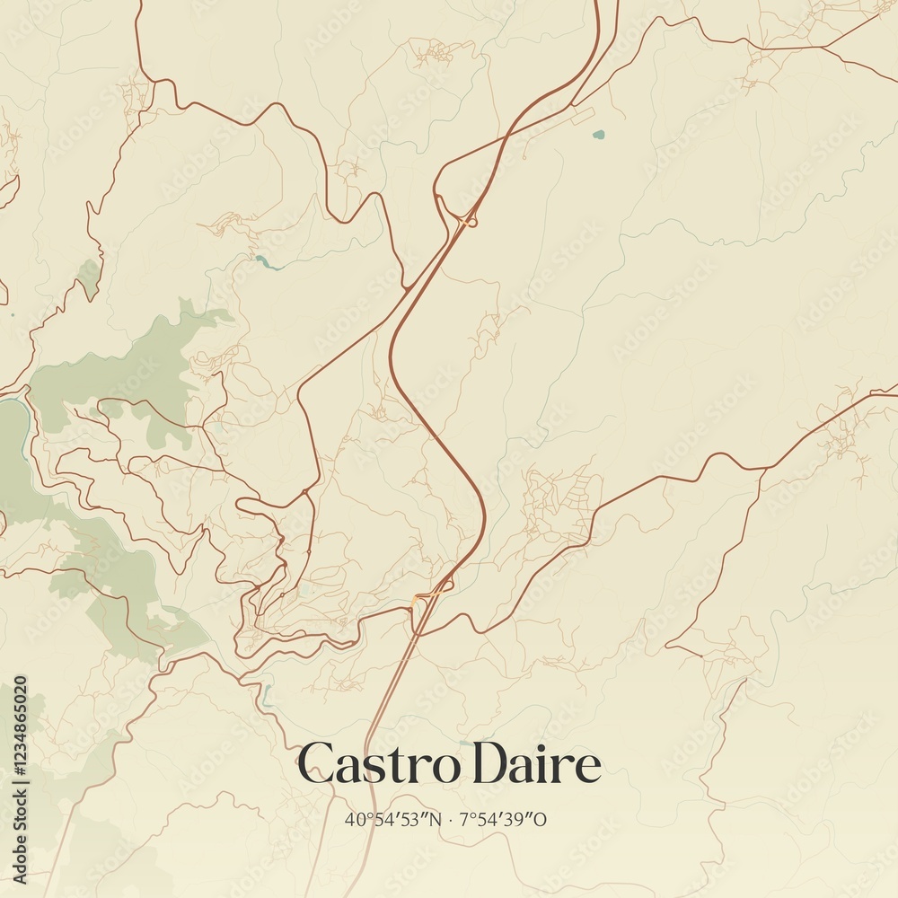 Obraz premium Vintage map of Castro Daire, Portugal. 