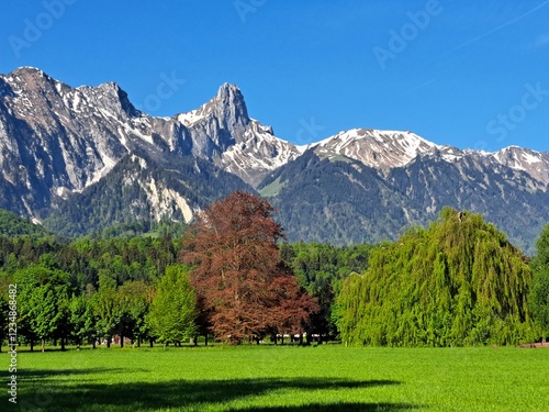 Swiss green mountains, spring. Snowy mountains in spring. Green hills. The Swiss mountains.