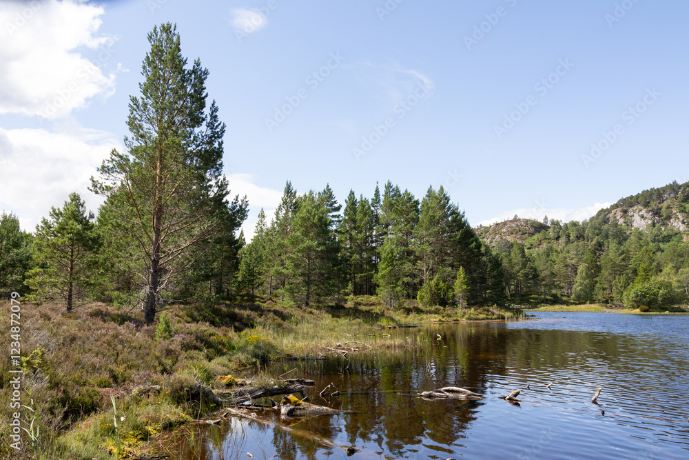 Fototapeta premium loch an eilein