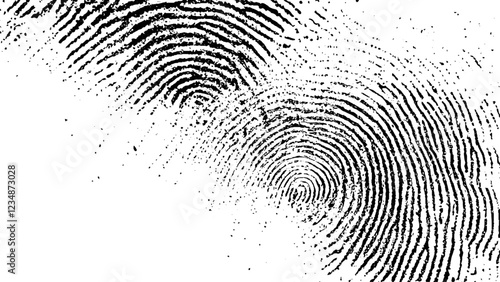 Fingerprint on a white background. Seamless pattern with black and white fingerprint on isolated background, vector illustration, high resolution photography, 