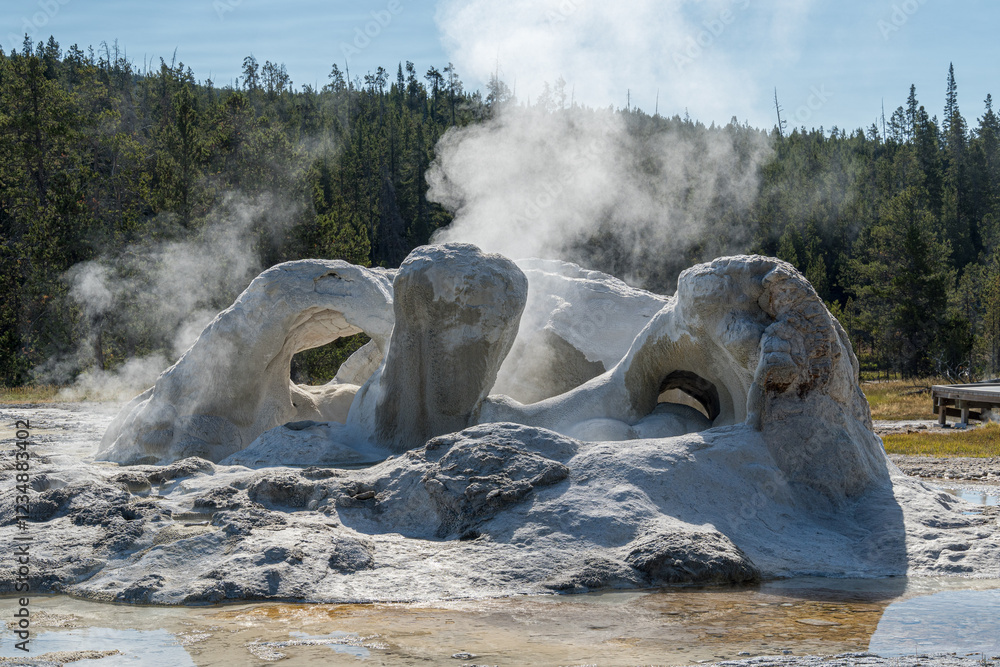 Φωτογραφία The big cone of Grotto Geyser, in the Upper Geyser Basin of Yellowstone National