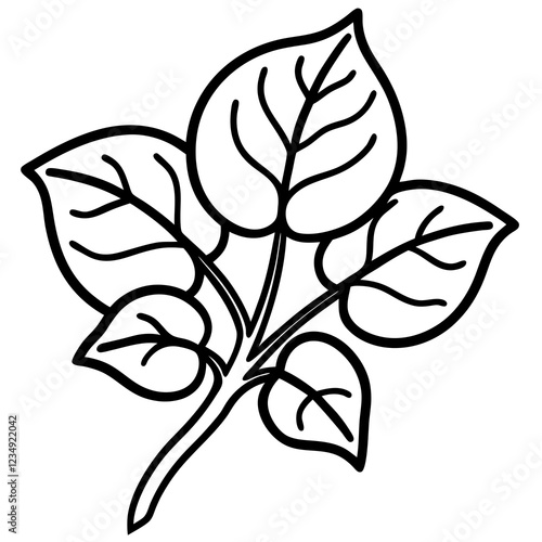 Simple Malabar Spinach One-Line Vector Art