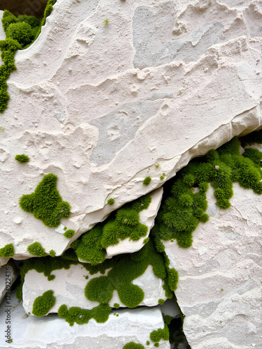 Closeup of a Weathered Sandstone wall, characterized by a mosaiclike arrangement of mossy patches that seem to meld into the stone. photo