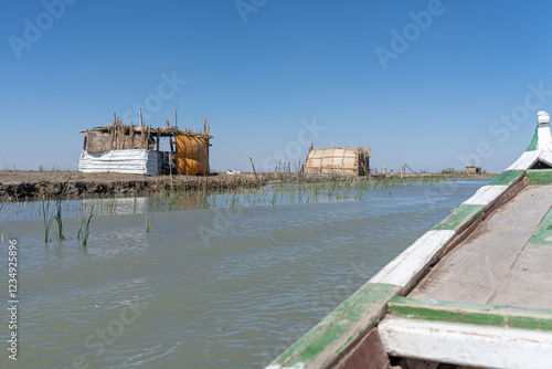 Obraz na płótnie A boat trip in the marshlands of iraq near Chibayish, Chabaish, Nasiriya w salonie
