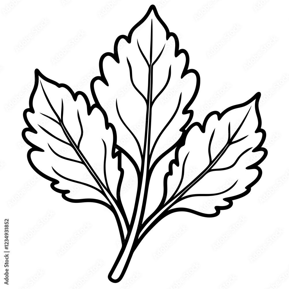 Sleek Arugula Illustration Vector Line Art Sleek Arugula Illustration Vector Line Art