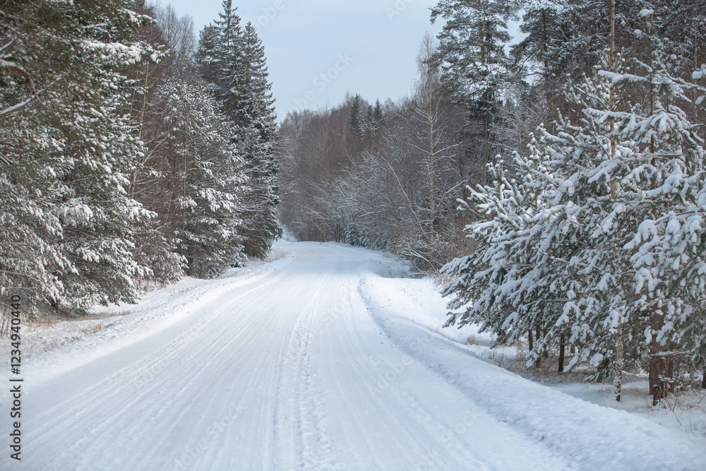 Fototapeta premium road in winter