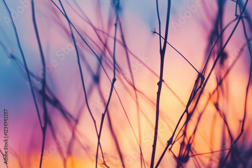 Colorful sunset with silhouetted branches creating abstract nature scene tranquil evening glow