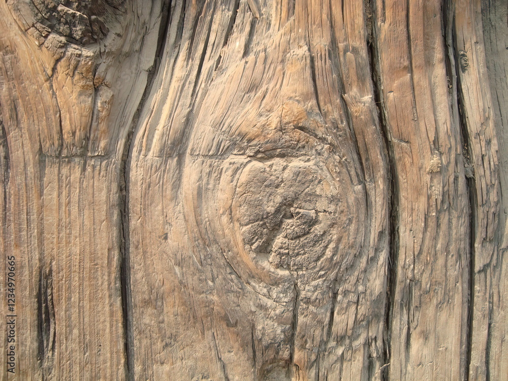 Sharp and very natural wood texture photo from nature Sharp and very natural wood texture photo from nature