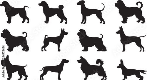 vector, isolated black silhouette of a dog, collection
