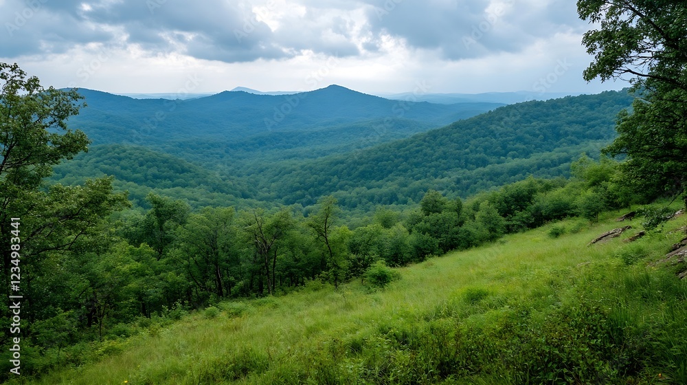 Expansive Mountain Range with Dense Forest Under Cloudy Sky : Generative AI Expansive Mountain Range with Dense Forest Under Cloudy Sky : Generative AI