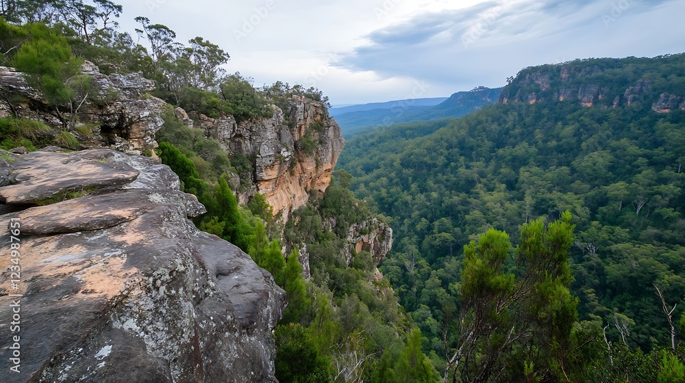 Obraz premium Breathtaking Cliffside View Overlooking Expansive Forested Valley in Untouched Wilderness : Generative AI