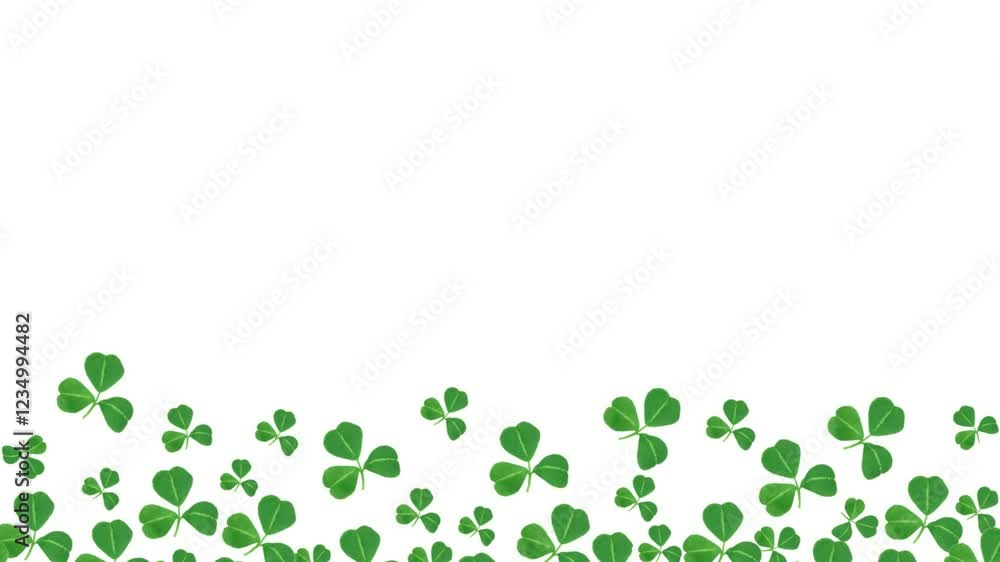 Stop motion St Patricks Day bottom border of dancing shamrocks over a white background Stop motion St Patricks Day bottom border of dancing shamrocks over a white background