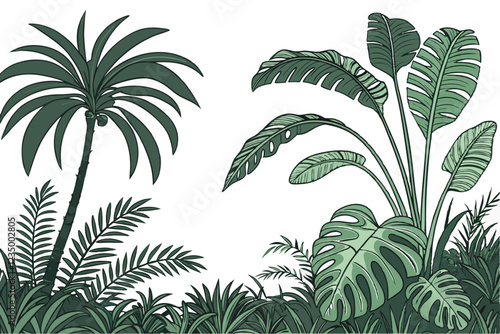  Tropical plants, lush foliage, botanical garden, tropical leaves, ferns, monstera, palm fronds, exotic greenery, jungle flora, dense vegetation, varied leaf shapes, natural arrangement, vibrant green
