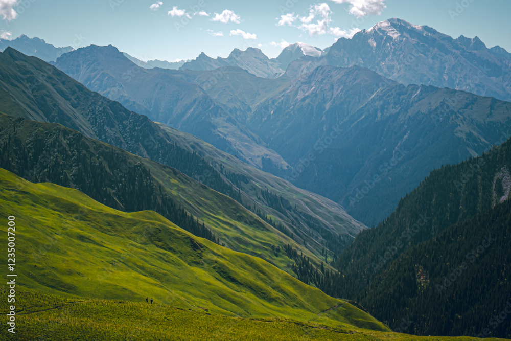 Landscape of lush green grass hills with a view of Tianshan Mountains, Xinjiang, China. There are many pine trees and two people are trekking on a sunny day. Feeling free, fresh, and peaceful. Landscape of lush green grass hills with a view of Tianshan Mountains, Xinjiang, China. There are many pine trees and two people are trekking on a sunny day. Feeling free, fresh, and peaceful.