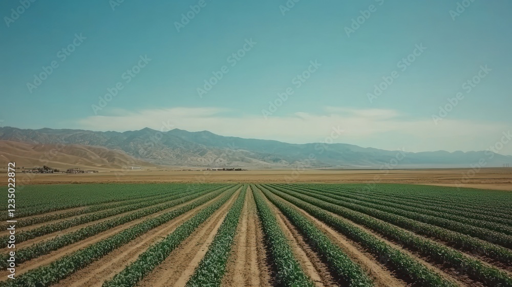 Agricultural Rows Stretch Towards Majestic Mountains Agricultural Rows Stretch Towards Majestic Mountains