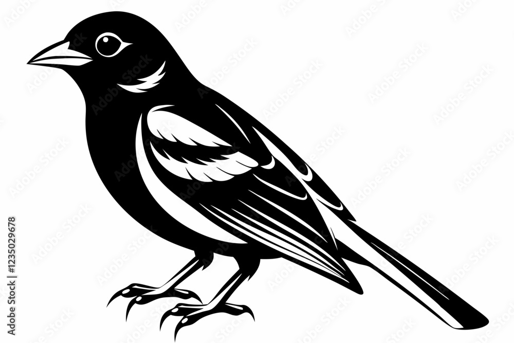 Obraz premium crow
