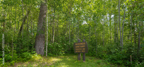 Obraz na płótnie Wooden sign marking a Wilderness Sanctuary in Itasca State Park, located in a forest area in northern Minnesota. w salonie