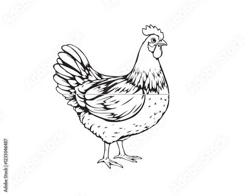 Black and white line art illustration featuring a hen, illustration vector.