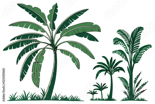 Tropical banana trees, photorealistic, isolated on white background, botanical illustration, various species, lush green foliage, tall slender trunks, wide leaves, palm-like appearance, studio lightin