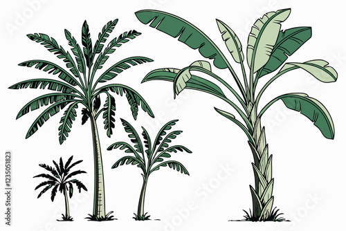 Tropical banana trees, photorealistic, isolated on white background, botanical illustration, various species, lush green foliage, tall slender trunks, wide leaves, palm-like appearance, studio lightin