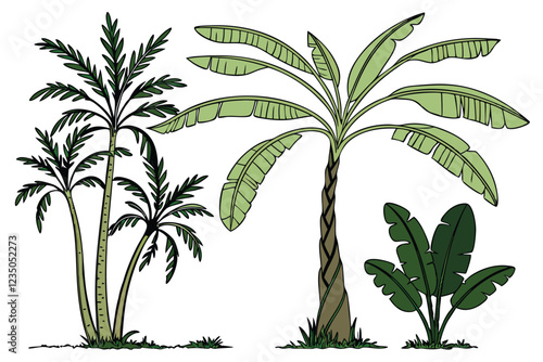 Tropical banana trees, photorealistic, isolated on white background, botanical illustration, various species, lush green foliage, tall slender trunks, wide leaves, palm-like appearance, studio lightin