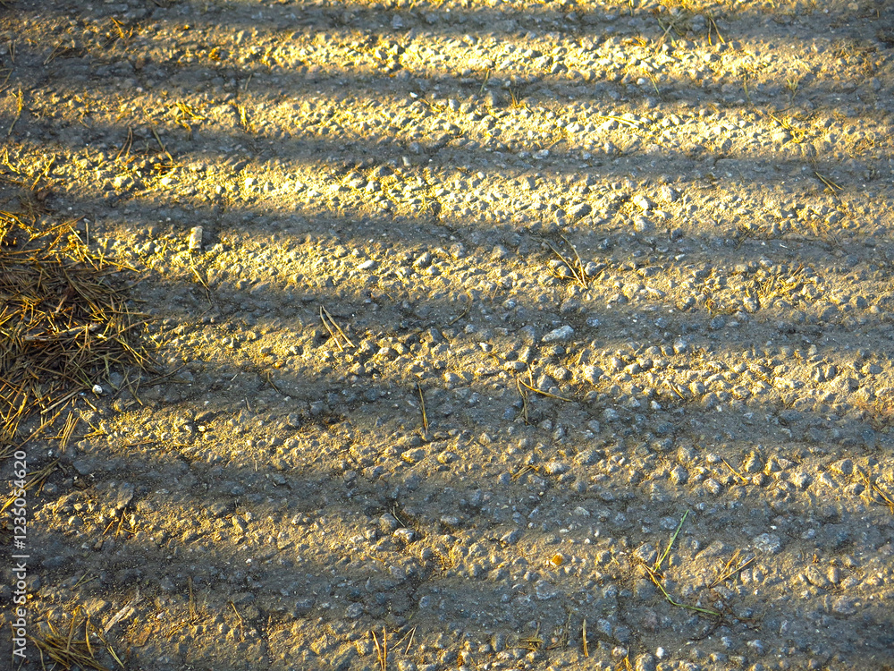 Obraz premium shadow on asphalt with vertical stripes