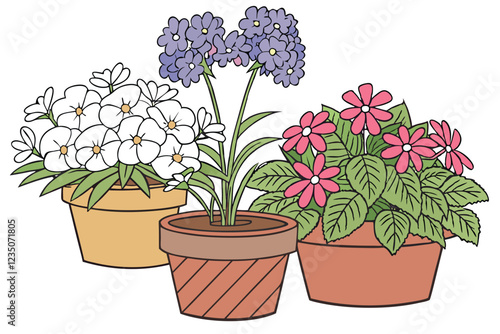 Colorful potted flowers, vibrant floral arrangement, assorted blooming plants, terracotta and ceramic pots, hydrangeas, daisies, petunias, impatiens, indoor gardening, spring colors, botanical variety