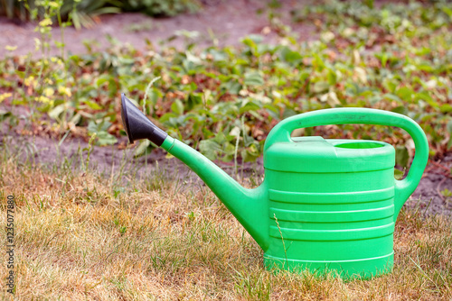 Obraz na płótnie Vibrant green watering can rests on the grass ready for gardening tasks in the sunny afternoon. Copy space. w salonie
