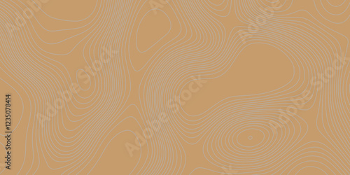 Grey curve line color background topography contour map relief land texture art, abstract contour line style geodesy geographic mountain topography vintage outdoors style seamless pattern background.