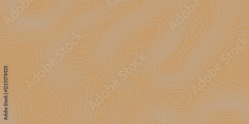 Grey curve line color background topography contour map relief land texture art, abstract contour line style geodesy geographic mountain topography vintage outdoors style seamless pattern background.