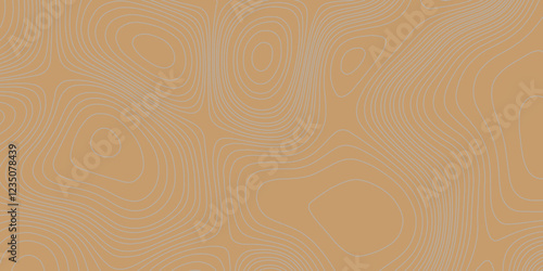 Grey curve line color background topography contour map relief land texture art, abstract contour line style geodesy geographic mountain topography vintage outdoors style seamless pattern background.