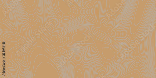 Grey curve line color background topography contour map relief land texture art, abstract contour line style geodesy geographic mountain topography vintage outdoors style seamless pattern background.