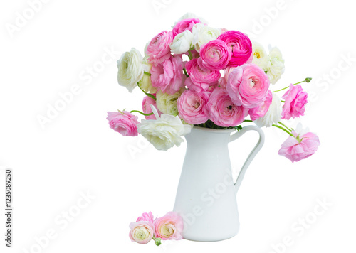 Pink and white ranunculus flowers
