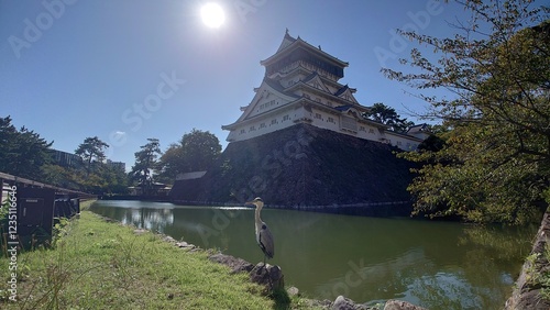 お堀に佇むサギと小倉城
