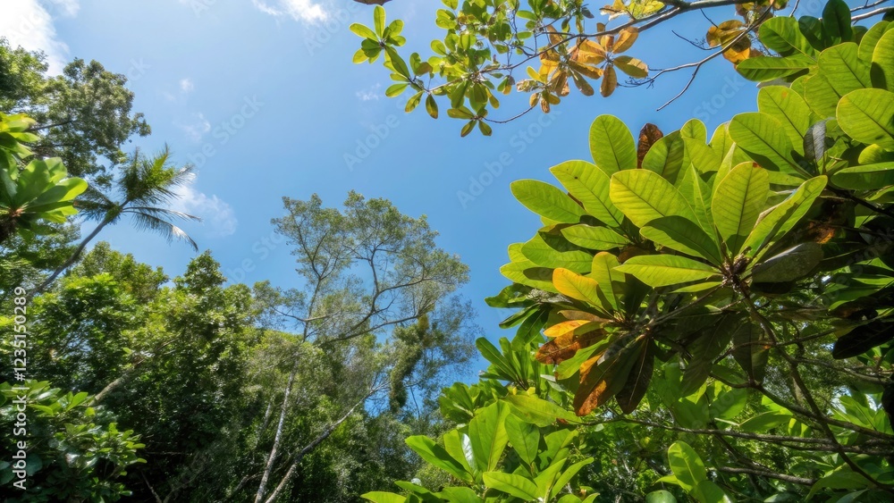 Dense foliage with varying leaf shapes and colors against a bright blue sky, environment, outdoors, canopy, leaves Dense foliage with varying leaf shapes and colors against a bright blue sky, environment, outdoors, canopy, leaves