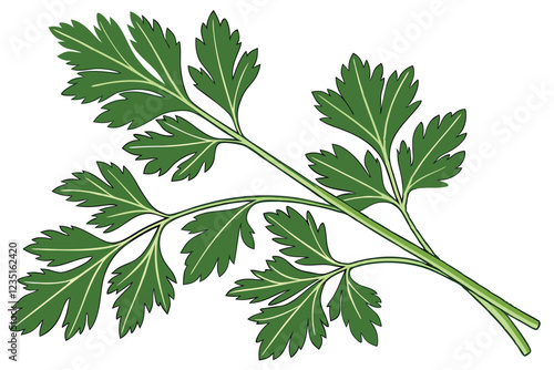  Fresh parsley sprigs, vibrant green leaves, culinary herb, aromatic, delicate stems, closeup, white background, crisp detail, organic produce, kitchen ingredient, garnish, isolated, textured foliage,