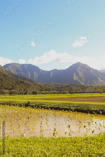 Kauai, Hawaii