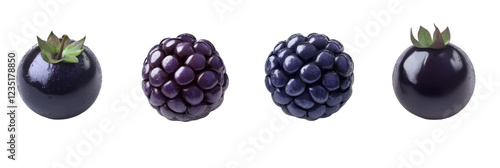 Four varieties of dark blue and purple berries with glossy textures and green leaves on transparent background png photo