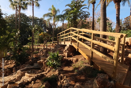 Pedestrian bridge surrounded by palm trees