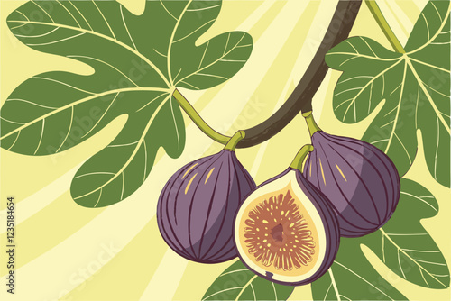 Photo of a cluster of figs hanging from a fig tree, close-up, soft lighting, shallow depth of field, green leaves, purple figs, one fig cut open to show the inside, light brown seeds, bright sunlight 