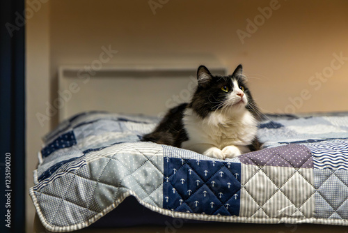 Cat on bed photo