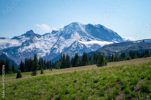 Mount Rainier Washington State National Park