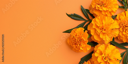 Close-up shot of fresh marigolds in shades of orange - Ideal for gardening enthusiasts and nature lovers