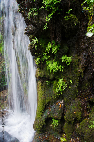 photographers walking along the paths of the Laconi forest, Sardinia, Italy photo