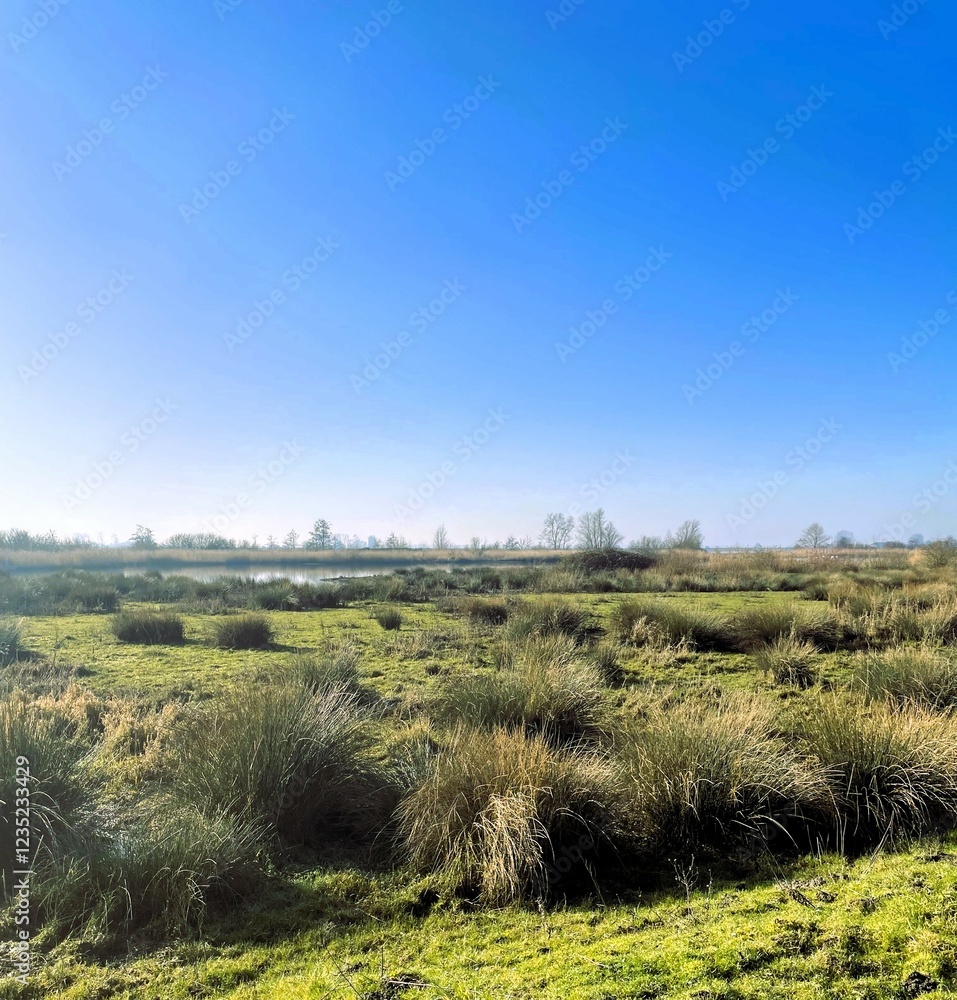 view of the countryside