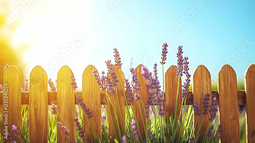 Sunny Lavender Field Garden Fence Summer Peace