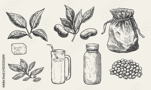 Hand-Drawn Soybean Illustration: Milk, Tofu, and Plant Elements in Minimalist Vector Art