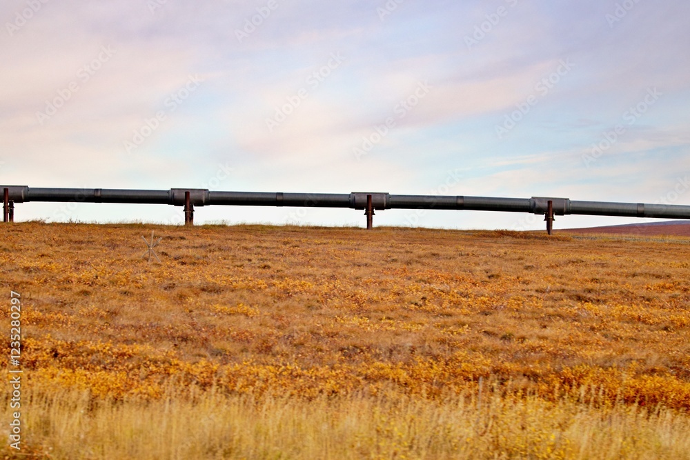Pipeline durch Alaskas Wildnis Pipeline durch Alaskas Wildnis