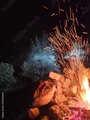 Fire & trees  photo