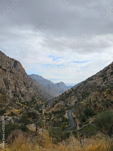 Snake road in montane